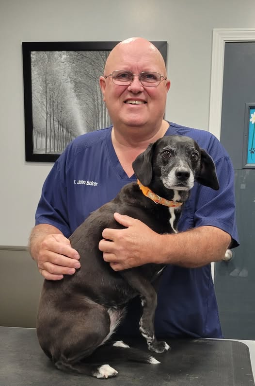 Dr John Baker Boonville IN Obituary Death - Evansville And Newburgh Veterinarian Is Dead